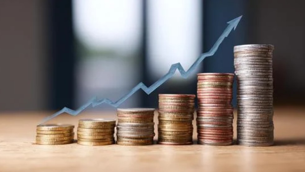 How Can Franchisees Maximise Profits Despite Royalty Costs